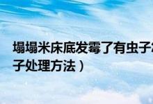 塌塌米床底發(fā)霉了有蟲子怎么處理（塌塌米床底發(fā)霉了有蟲子處理方法）