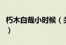 朽木白哉小時(shí)候（關(guān)于朽木白哉小時(shí)候的介紹）