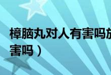 樟腦丸對(duì)人有害嗎放在衣服里（樟腦丸對(duì)人有害嗎）