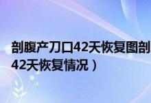 剖腹產(chǎn)刀口42天恢復(fù)圖剖腹產(chǎn)刀口沒長好圖片（剖腹產(chǎn)刀口42天恢復(fù)情況）