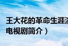 王大花的革命生涯演員表（王大花的革命生涯電視劇簡介）
