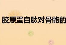 膠原蛋白肽對(duì)骨骼的作用（膠原蛋白肽作用）