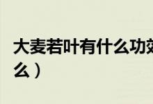 大麥若葉有什么功效（大麥若葉粉的功效是什么）