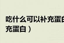 吃什么可以補充蛋白質(zhì)又不貴（吃什么可以補充蛋白）