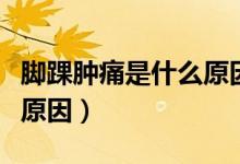 腳踝腫痛是什么原因引起的（腳踝腫痛是什么原因）