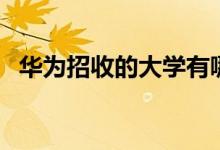 華為招收的大學有哪些（招生最多的院校）