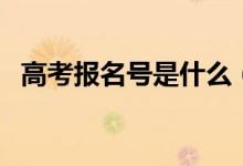 高考報名號是什么（高考報名號怎么查詢）
