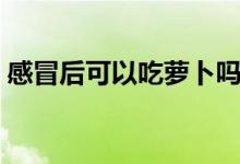 感冒后可以吃蘿卜嗎（感冒后可以吃西瓜嗎）