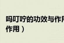 嗎叮嚀的功效與作用是什么（嗎叮嚀的功效與作用）