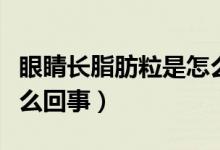 眼睛長脂肪粒是怎么回事（眼睛長脂肪粒是怎么回事）