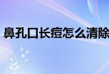鼻孔口長痘怎么清除（鼻孔口長痘怎么回事）