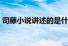 司藤小說講述的是什么故事（司藤小說介紹）