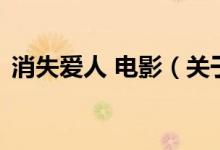 消失愛人 電影（關(guān)于消失愛人 電影的介紹）