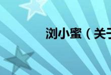 瀏小蜜（關(guān)于瀏小蜜的介紹）