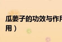 瓜蔞子的功效與作用圖片（瓜蔞子的功效與作用）