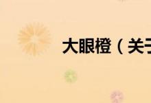 大眼橙（關于大眼橙的介紹）