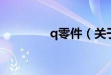 q零件（關(guān)于q零件的介紹）