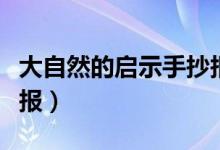 大自然的啟示手抄報資料（大自然的啟示手抄報）