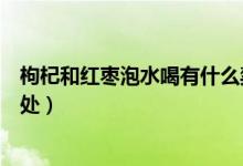 枸杞和紅棗泡水喝有什么禁忌(枸杞和紅棗泡水喝有什么好處)