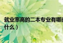 就業(yè)率高的二本專業(yè)有哪些2022（就業(yè)率最高的二本專業(yè)是什么）