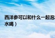 西洋參可以和什么一起泡水喝呢（西洋參可以和什么一起泡水喝）