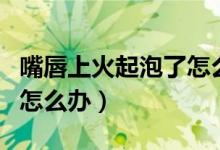 嘴唇上火起泡了怎么辦圖片(嘴唇上火起泡了怎么辦)
