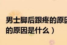 男士腳后跟疼的原因是痛風(fēng)嗎（男士腳后跟疼的原因是什么）