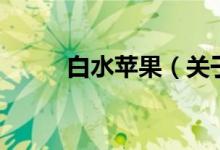 白水蘋果（關(guān)于白水蘋果的介紹）