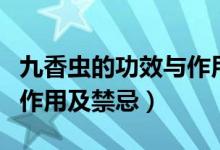 九香蟲的功效與作用及禁忌（九香蟲的功效與作用及禁忌）