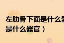 左肋骨下面是什么器官隱隱作痛（左肋骨下面是什么器官）