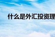 什么是外匯投資理財(cái)(什么是外陰瘙癢)