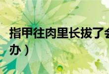 指甲往肉里長拔了會好嗎（指甲往肉里長怎么辦）