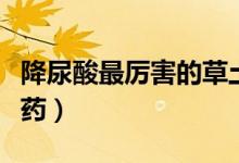 降尿酸最厲害的草土茯苓（降尿酸最厲害的草藥）