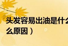 頭發(fā)容易出油是什么問題（頭發(fā)容易出油是什么原因）