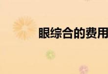 眼綜合的費用（眼綜合的費用）
