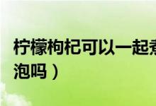 檸檬枸杞可以一起煮水嗎(檸檬枸杞可以一起泡嗎)