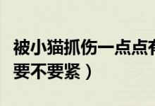 被小貓抓傷一點(diǎn)點(diǎn)有事嗎（被小貓抓傷一點(diǎn)點(diǎn)要不要緊）