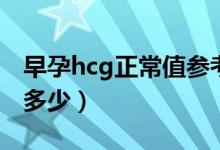 早孕hcg正常值參考范圍（hcg正常值范圍是多少）