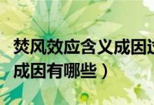 焚風(fēng)效應(yīng)含義成因過程（焚風(fēng)效應(yīng)是什么意思成因有哪些）