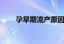 孕早期流產(chǎn)原因分析（孕周怎么算）
