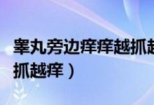 睪丸旁邊癢癢越抓越癢白色（睪丸旁邊癢癢越抓越癢）