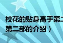 ?；ǖ馁N身高手第二部（關(guān)于?；ǖ馁N身高手第二部的介紹）