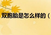 雙胞胎是怎么樣的（雙胞胎是怎么樣形成的）