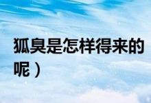 狐臭是怎樣得來(lái)的（為什么會(huì)突然間就出現(xiàn)了呢）