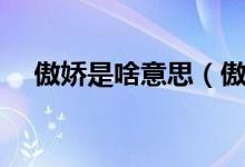 傲嬌是啥意思（傲嬌表里不一的代名詞）