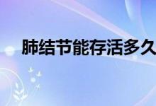 肺結(jié)節(jié)能存活多久（肺結(jié)節(jié)能存活多久）
