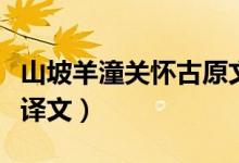 山坡羊潼關(guān)懷古原文（山坡羊潼關(guān)懷古原文及譯文）