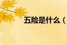 五險是什么（五險有什么特點）