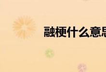 融梗什么意思（融梗的含義）