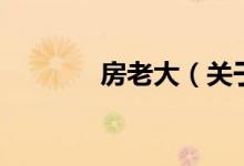 房老大（關(guān)于房老大的介紹）